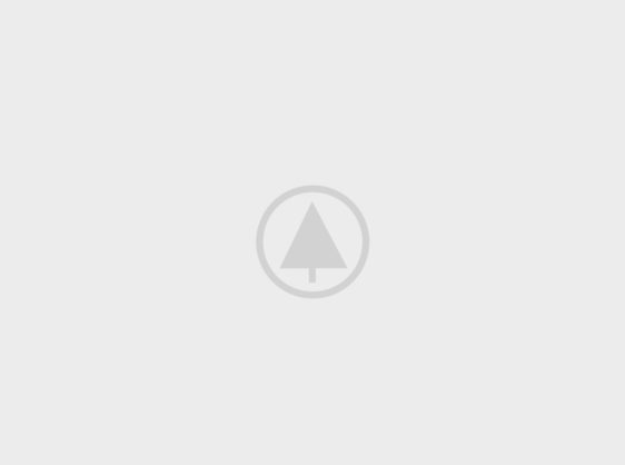 wood-gallery-placeholder-5 wood-gallery-placeholder-5