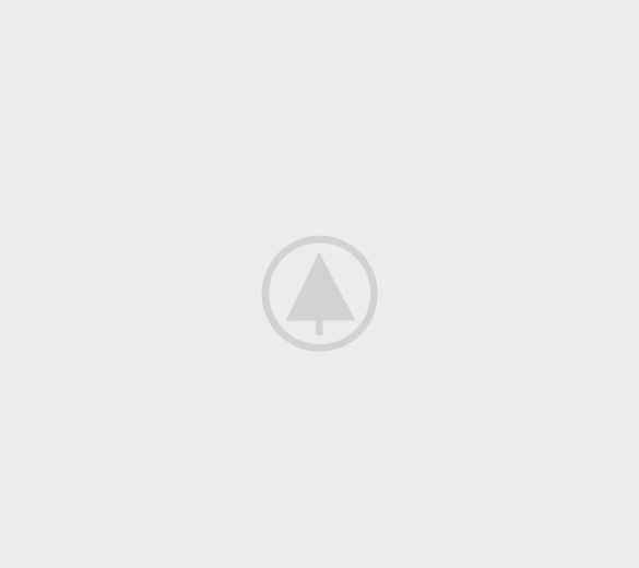wood-portfolio-placeholder wood-portfolio-placeholder